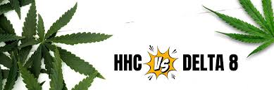 hhc vs delta 8